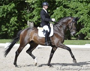 Kenneth Damgaard on Stenagers Wyatt Earp at the final YH selection trial in Broholm :: Photo © Ridehesten