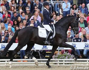 Secret at the 2017 Bundeschampionate :: Photo © LL-foto