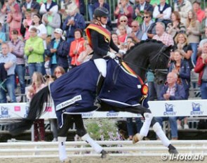 Rieke Schneider and Devonport win the 4-year old riding horse stallion class at the 2017 Bundeschampionate :: Photo © LL-foto
