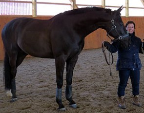 Cindy Ishoy with the 9-year old DSP registered San Remo :: Photo © Isabel Dopta