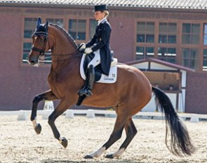 Helen Langehanenberg and Suppenkasper at the 2017 CDI Cappeln :: Photo © Michael Rzepa