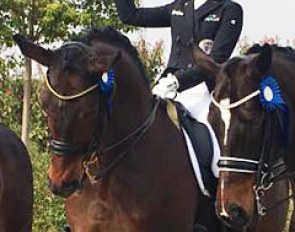 Belinda Weinbauer and Söhnlein Brilliant at the 2017 CDI Caselle di Sommacampagne :: Photo © private