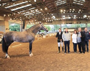 2017 Feria del Caballo :: Photo © Joe Trello