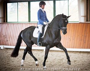 Alice Tarjan aboard her own Harvest (by Connaisseur x Ulft), the winner of the inaugural North American Stallion Sport Test :: Photo © Allie Conrad