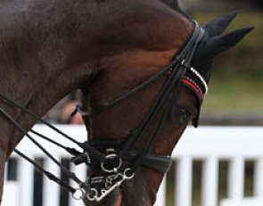 Unfortunately Anna Zibrandtsen and Arlando were eliminated from the Special as the horse had bitten his tongue. In the Special Arlando was visibly unhappy in the bridle, loudly grinding his teeth. Midway through the test, the bell rung. 