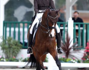 Swiss Barbara Bertschinger on her home bred 10-year old Swiss warmblood Sonnenbergs Solisco (by Sancisco x Brentano II)