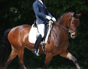 Borja Carrascosa and Forbes at the 2017 CDIO Compiegne :: Photo © Astrid Appels