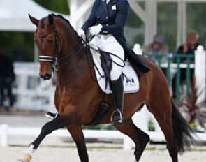 Mara de Vries on the 7-year old Dutch warmblood mare Farzana (by Ampere) at the 2017 CDIO Compiegne :: Photo © Astrid Appels