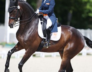 Jeannette Haazen and the Belgian owned Dabanos d'O4 were on stunning best form in Compiegne, where Haazen showed very impressive riding skills keeping the hyper-sensitive Dabanos submissive, relaxed and on the aids