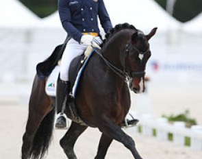 Swedish Mads Hendeliowitz on Malin Isaksson's 8-year old Swedish warmblood Frans Andreo II (by Sandreo x Weltmeyer)
