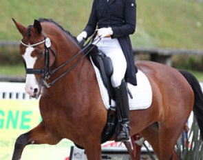 Maeva Hoang on her second small tour ride, Nicolas Verstraeten's Diolita DN, a 9-year old Dutch mare by Tango x Glendale