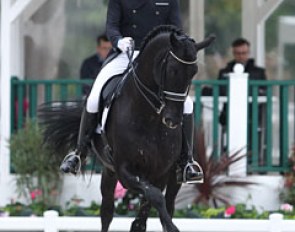 Patrick van der Meer on the Kruininger family's 10-year old KWPN stallion Chinook (by Vivaldi out of Sarita)
