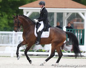 Diederik van Silfhout and Scenario at the 2017 CDIO Compiegne :: Photo © Astrid Appels