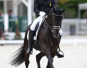 Justin Verboomen and Nevado de la Font at the 2017 CDIO Compiègne :: Photo © Astrid Appels