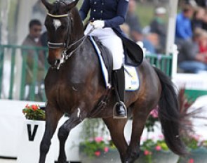Tinne Vilhelmson has been successfully campaigning Paridon Magi this 2017 show season while her number one Don Auriello has not been out since the 2016 Rio Olympics