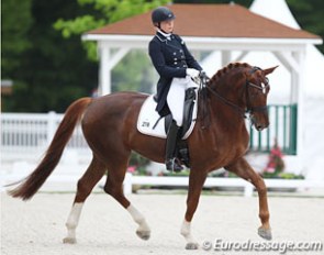 After riding the developing PSG horse test at the CDI Hagen in April, Ann-Christin Wienkamp moved her 8-year old Hanoverian Double Click (by Diamond Hit x Rotspon) up to the traditional small tour classes in Compiegne