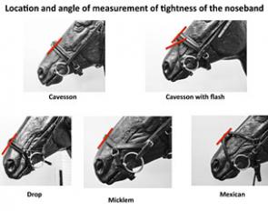 Noseband tightness to be checked at Danish competitions as of 2018