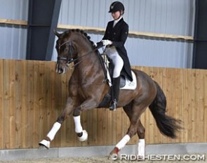 Silje Bakken and Bogegaardens Santiago :: Photo © Ridehesten
