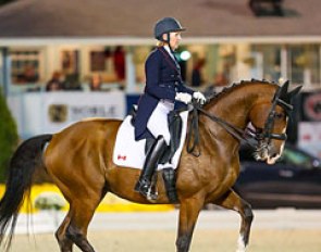 Diane Creech and Chrevi's Christo at the 2017 CDI-W Devon :: Photo © Sue Stickle
