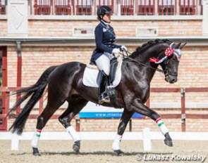 Jazmin Yom Tov on Stiffelio at the 2017 Hungarian Young Horse Championships :: Photo © Lukasz Kowalski