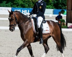 Belgian Maud Adriaensen on N-Constantino van de Bolkerhoeve