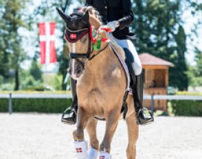 Sixth placed pair Sofie Hansen on Prince of Glory