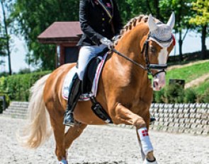 The bronze medalists Sara Aagaard Hyrm and Der Harlekin B