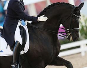 Elisabet Ehrnrooth on Wizard
