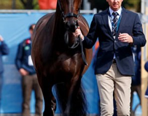 Gareth Hughes and Don Carissimo at the horse inspection at the 2017 European Dressage Championships :: Photo © Dirk Caremans