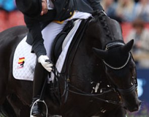 Severo Jurado Lopez has the peculiar habit of immediately checking his horse's mouth after his final halt and salute. He also does this on his young horses which he competed at the World Championships in Ermelo three weeks ago