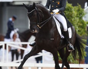 Severo Jurado Lopez on Deep Impact. The rock drama for the canter work was way too heavy for such an elegant horse. With this ill fitting music Jurado was unable to produce a clap-along performance as he used to do with Lorenzo