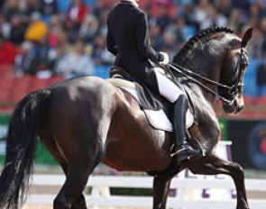 Helen Langehanenberg on Damsey. The Hanoverian stallion kicked to the spur in the first piaffe and then they lost their groove in the following piaffe-passage section