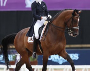 Jorinde Verwimp's 17-year old Tiamo looked tired. In the past year the horse competed in 15 CDI classes alongside the Belgian Championships.