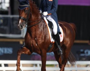 Madeleine Witte-Vrees on Cennin