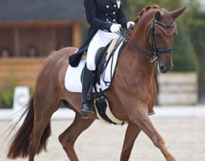 Beatrice Arturi and Le Bom at the 2017 European Young Riders Championships :: Photo © Astrid Appels