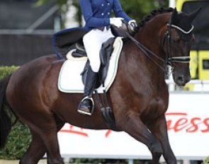 Anastasiya Cherdak on Sir Black