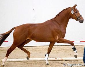 Kokototo (by Toto Jr x Jazz x Roemer) at the pre-selection :: Photo © Leanjo De Koster