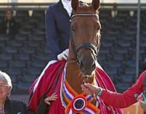 Simone Both and Ivoli-E win the 4-year old division at the 2017 Pavo Cup Finals :: Photo © LL-foto