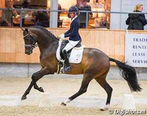 Femke de Laat and Intro K at the 2017 KWPN Stallion Competition in Ermelo :: Photo © Digishots