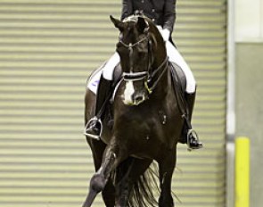 Wendi Williamson and Dejavu MH at the 2017 CDI-W Feilding :: Photo © Libby Law