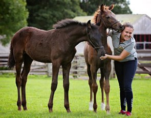 Emma Jane Blundell of Mount St. John with 2017 foals MSJ Fair Lady (Ferdeaux out of Donnerlady) and MSJ Diazzle (Desperado out of Keystone Diaz)