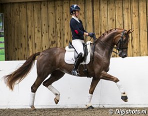 Dujardin on Kom Fairy Tale