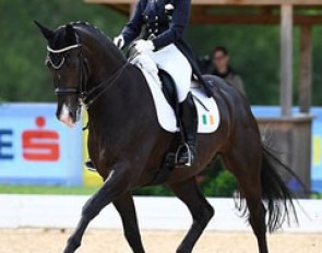 Judy Reynolds and Vancouver K at the 2017 CDI Fritzens :: Photo © Alessandra Sarti