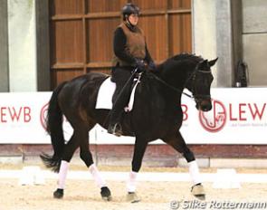 Diana Böttger on Zario R, a 13-year old Dutch warmblood by Rosario x Krack C