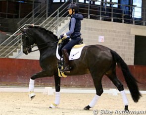 Michèle George on the 7-year old Oldenburg stallion Fusion OLD (by Fürst Romancier x Sion)