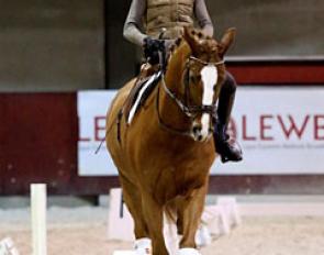 Barbara Minecci on Stuart, an 8-year old Oldenburg by Sir Donnerhall x Diamond Hit