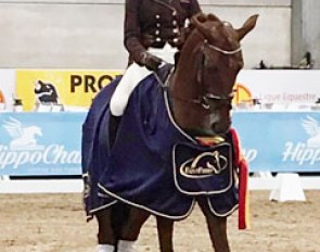 Larissa Pauluis and Irish Coffee win the 2017 Belgian Young Horse Championships for 4-year olds