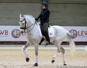 Clarisse Verboomen on Tamino, a 17-year old Lusitano by Gazoso