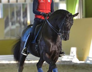 Shingo Hayashi on Manolete