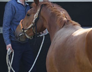 Johannes and Javelin